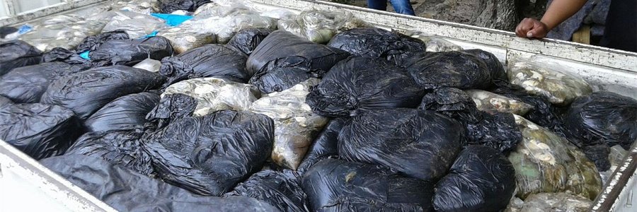 Gansbaai R2 million abalone confiscated_1